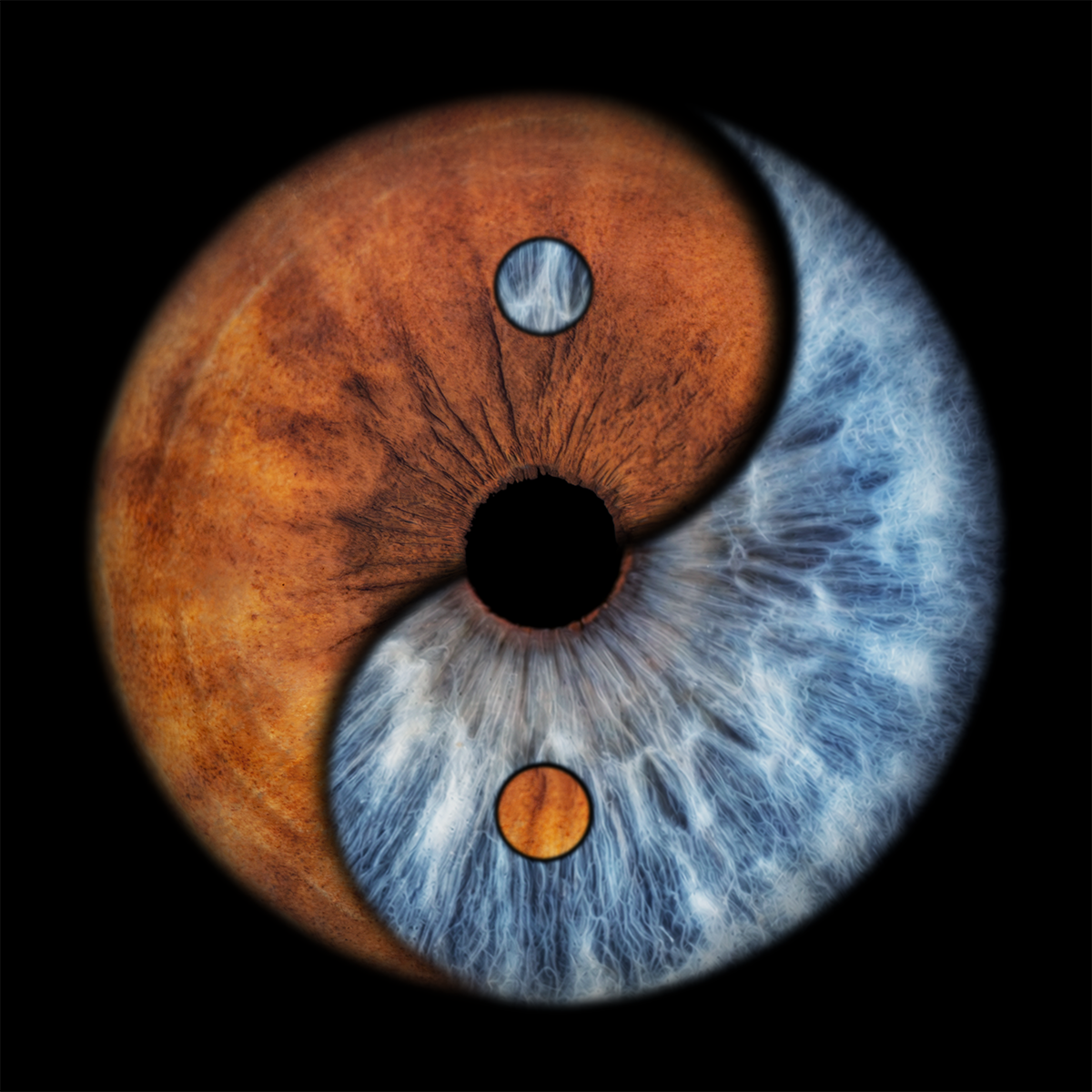 Yin Yang Iris Portrait